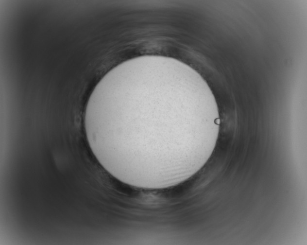 X0000088460753200706191329