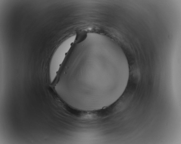 X0000088460754200706191329