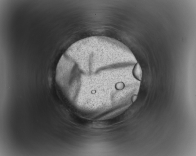 X0000088460758200706191329