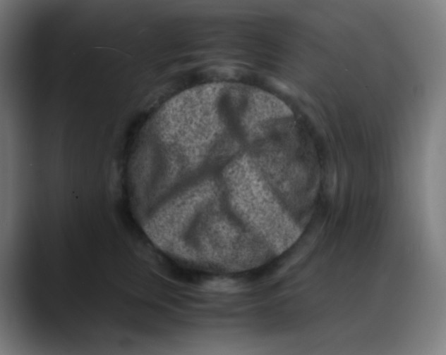 X0000088460759200706191329