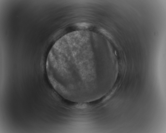 X0000088460762200706191329