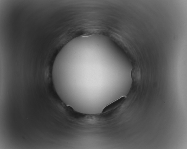 X0000088460764200706191329