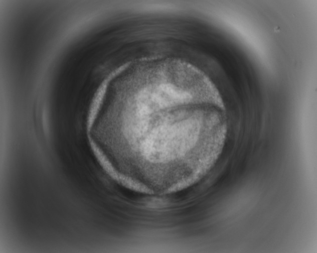 X0000088460765200706191329