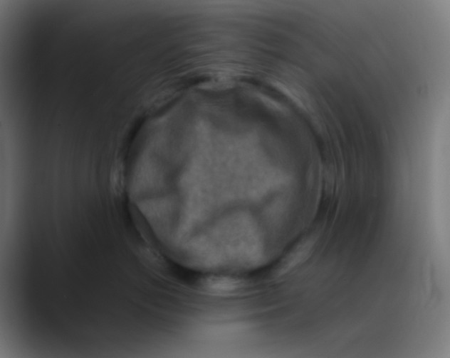X0000088460766200706191329