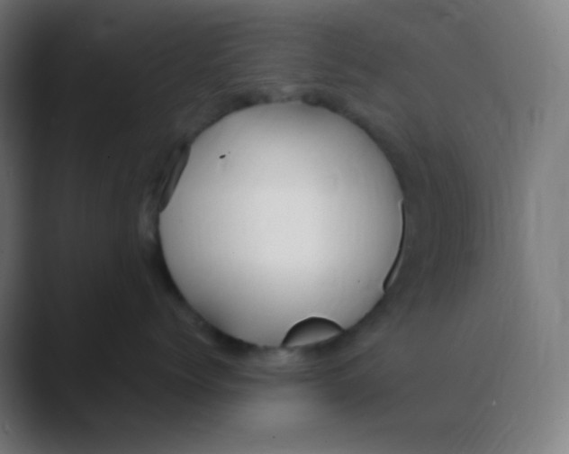 X0000088460768200706191329