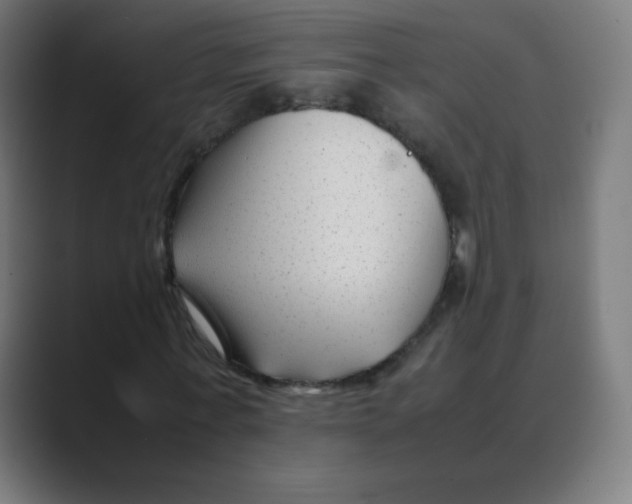 X0000088460771200706191328