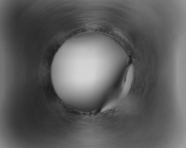 X0000088460773200706191328