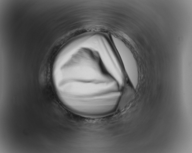 X0000088460775200706191328