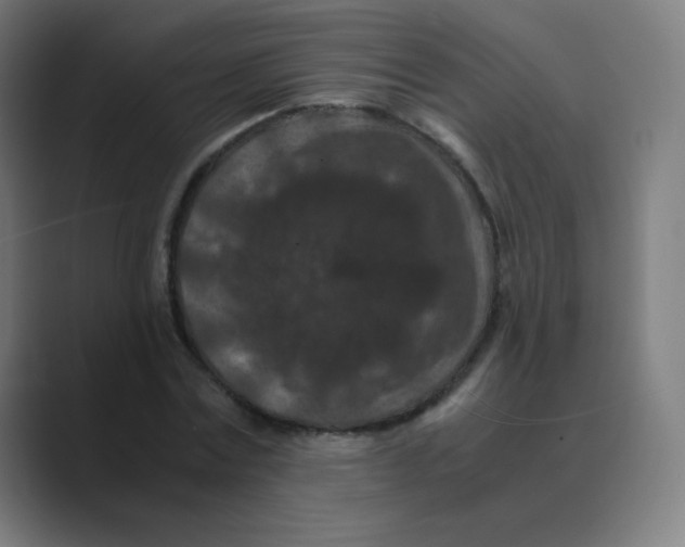 X0000088460779200706191328
