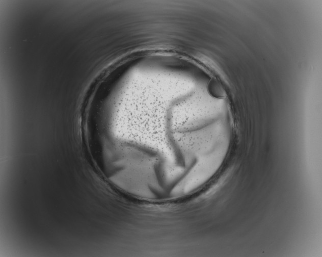 X0000088460781200706191328