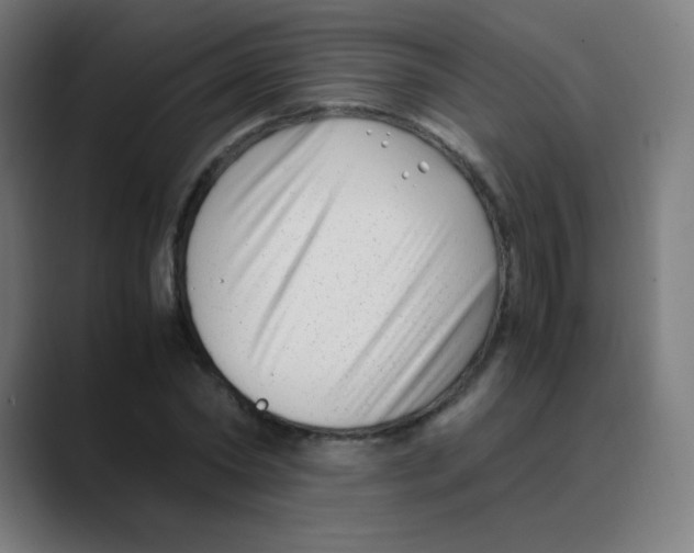 X0000088460782200706191328
