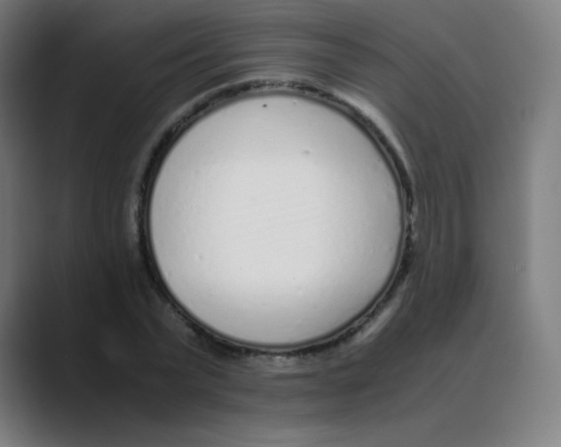 X0000088460783200706191328