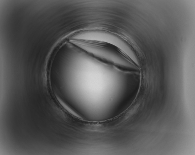 X0000088460784200706191328