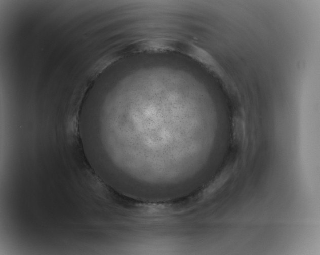 X0000088460785200706191328