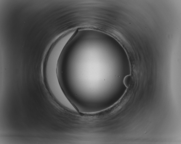 X0000088460788200706191328