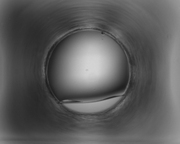 X0000088460789200706191328