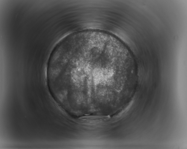 X0000088460790200706191328