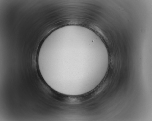 X0000088460794200706191328