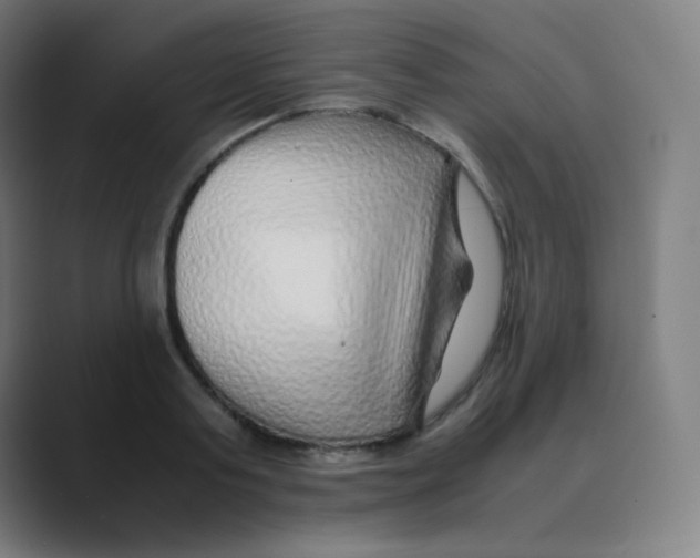 X0000088460795200706191328