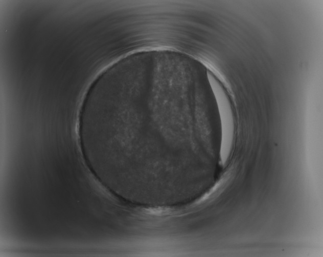 X0000088460797200706191328
