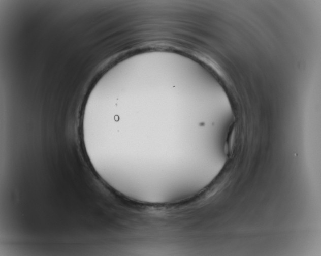 X0000088460799200706191328