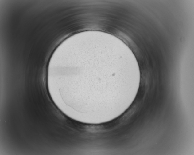 X0000088460804200706191328