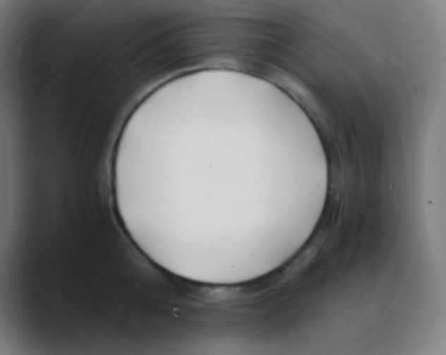 X0000088460808200706191328