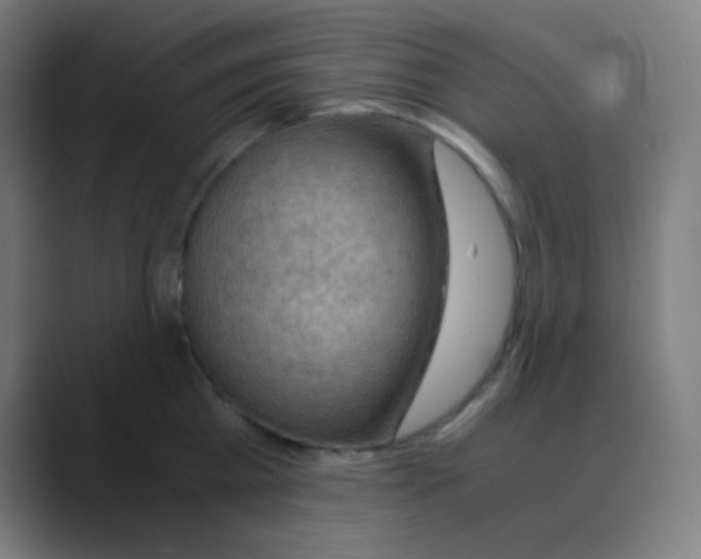 X0000088460809200706191328
