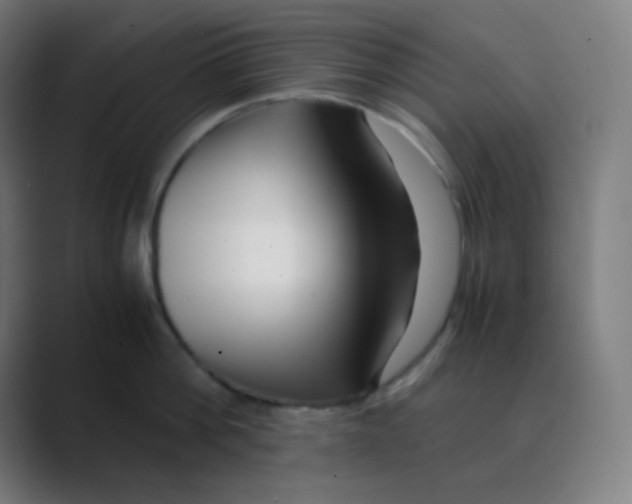X0000088460812200706191328