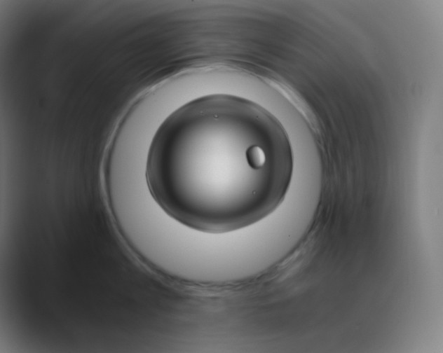 X0000088460813200706191328