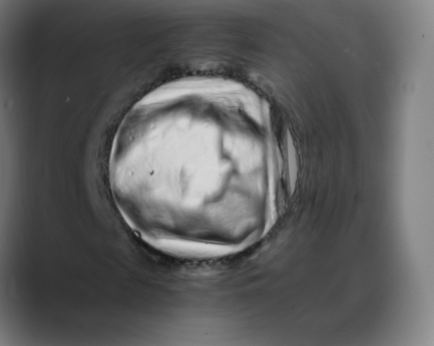 X0000088460817200706191327
