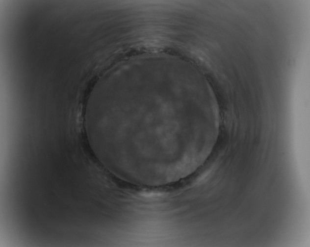 X0000088460818200706191327