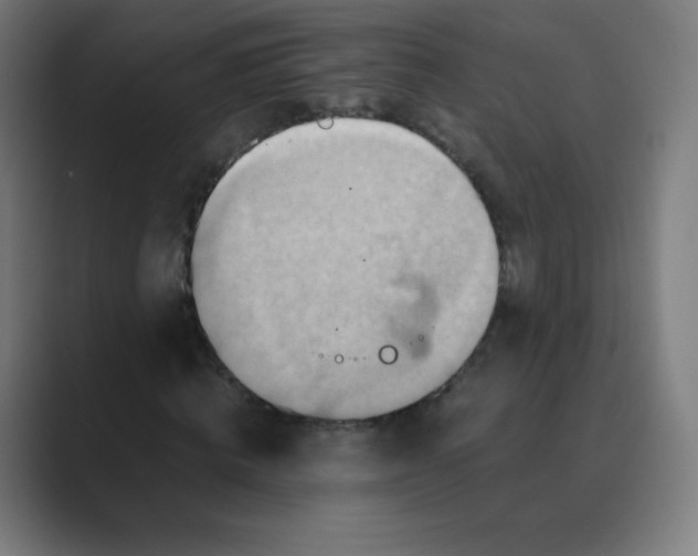 X0000088460820200706191327