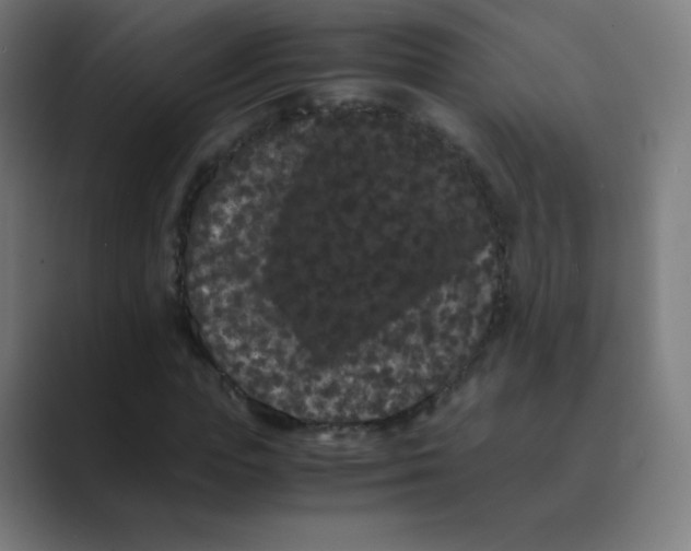 X0000088460823200706191327