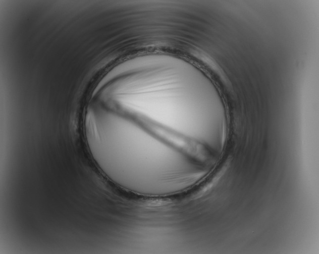 X0000088460826200706191327