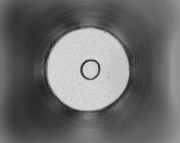 X0000088460832200706191327