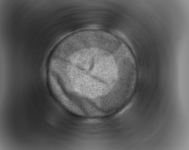X0000088460835200706191327