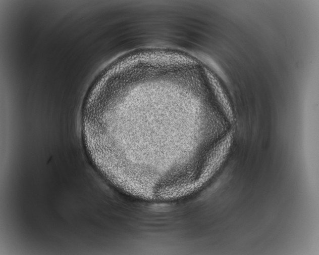 X0000088460839200706191327
