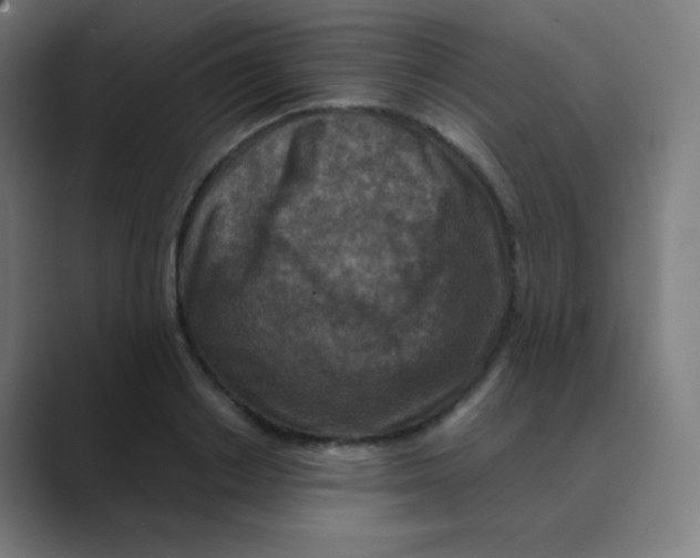 X0000088460842200706191328
