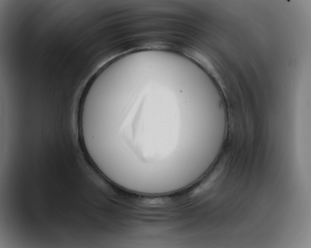 X0000088460843200706191328