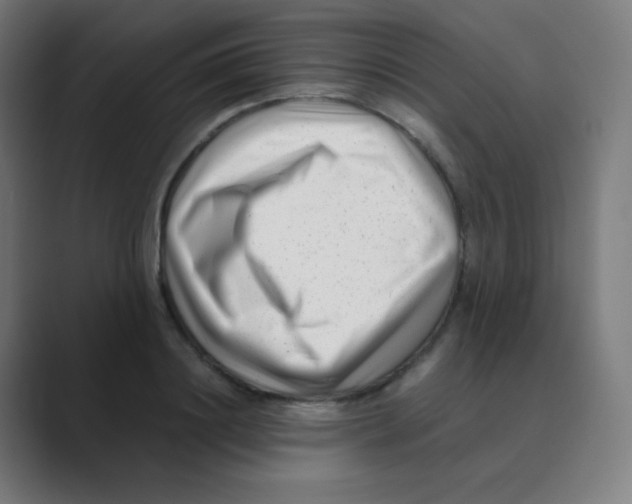 X0000088460844200706191328