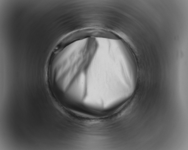 X0000088460846200706191328