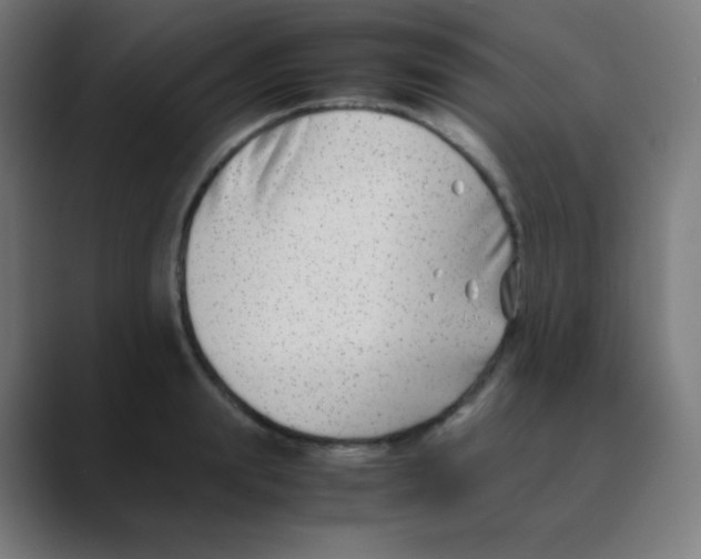 X0000088460847200706191328