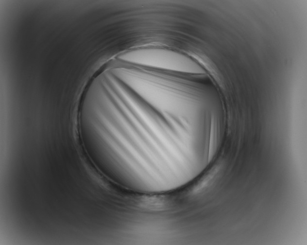 X0000088460850200706191328