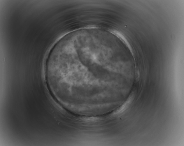 X0000088460851200706191328