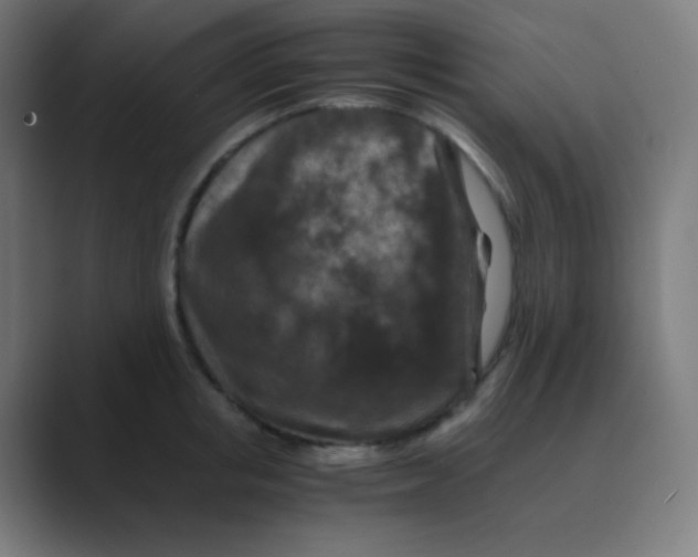 X0000088460853200706191328