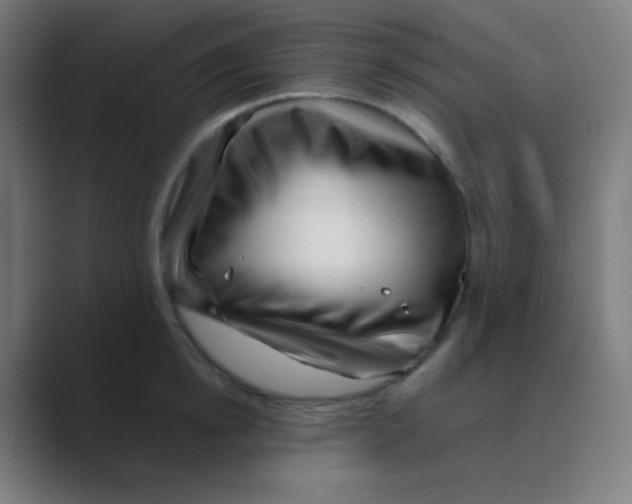 X0000088460854200706191328