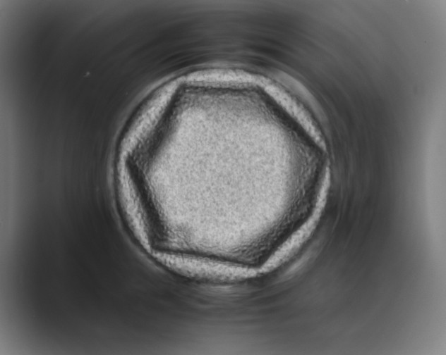 X0000088460855200706191328