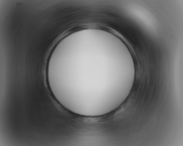 X0000088460861200706191328