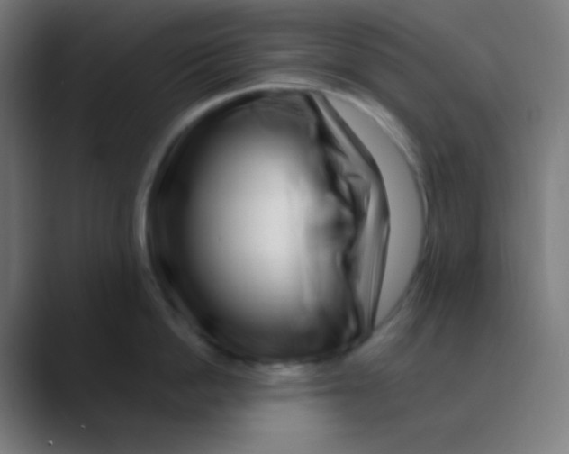 X0000088460862200706191328